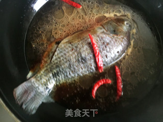 红烧罗非鱼的做法步骤：6