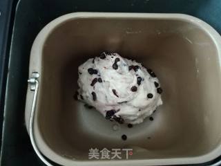 蓝莓餐包的做法步骤：7