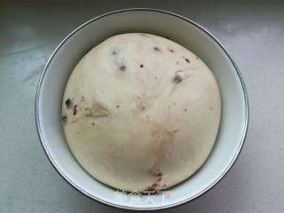 蓝莓餐包的做法步骤：9