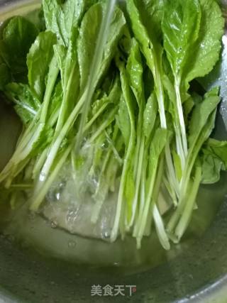 剁椒小白菜的做法步骤：1