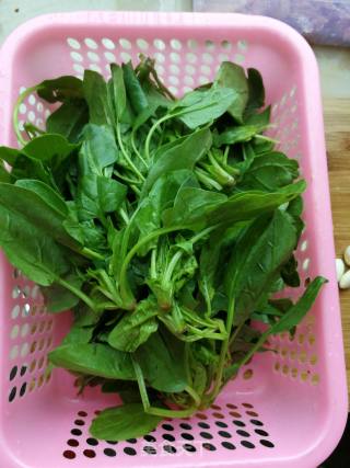 菠菜烩红豆的做法步骤：2