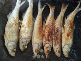 红烧小河鱼的做法步骤：4