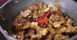 红焖羊肉的做法步骤：5