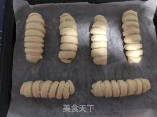 奶香菠萝面包的做法步骤：8