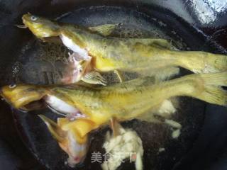 炖黄骨鱼的做法步骤：5