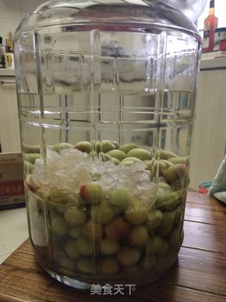 青梅酒的做法步骤：7