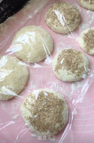 香酥芝麻烧饼的做法步骤：12