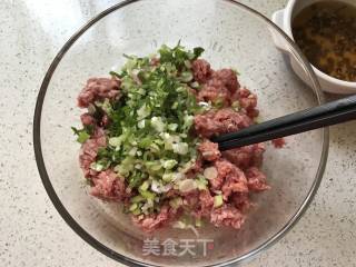 生煎牛肉饼的做法步骤：3