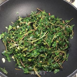 蒜炒马齿苋的做法步骤：4