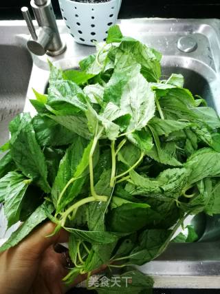 潮州菜---菜脯粒炒麻叶的做法步骤：1