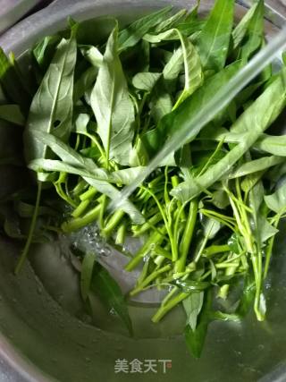 蒜蓉空心菜的做法步骤：2