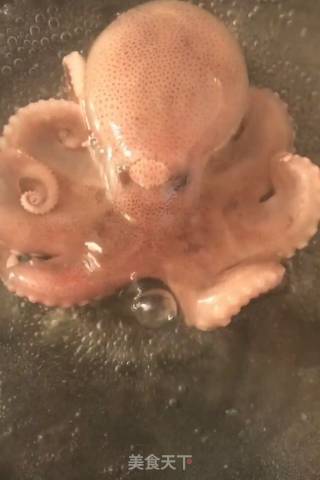麻辣八爪鱼的做法步骤：1