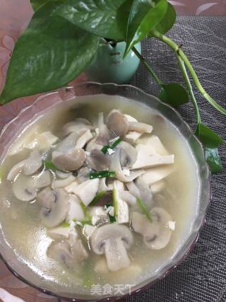 菌菇炖豆腐的做法步骤：8