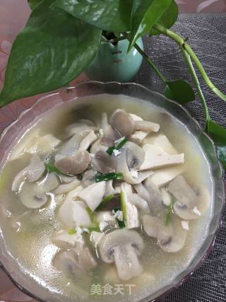 菌菇炖豆腐的做法步骤：9