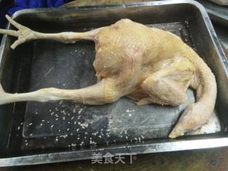 自制酱椒手撕鸡的做法步骤：4