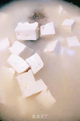 鲫鱼豆腐汤的做法步骤：4