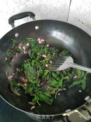蒜蓉苋菜的做法步骤：5