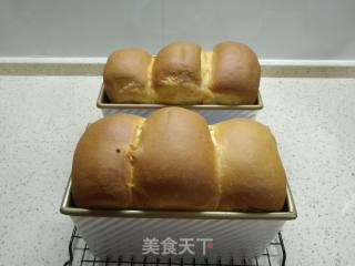 波兰种鲜奶吐司的做法步骤：13