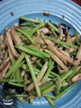 家常杏鲍菇的做法步骤：7