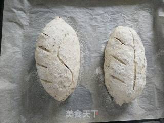亚麻籽蜂蜜软欧的做法步骤：19