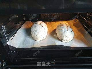 亚麻籽蜂蜜软欧的做法步骤：20