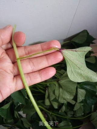 青椒炒红薯梗的做法步骤：1