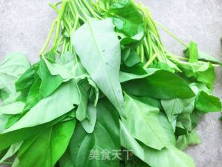 蒜蓉炒空心菜的做法步骤：1