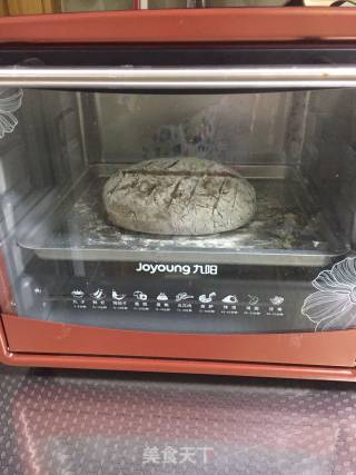 小麦胚芽无油无糖乡村面包冷藏发酵版本的做法步骤：7