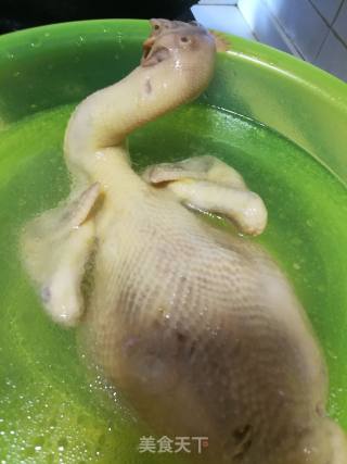 白切鸡的做法步骤：3