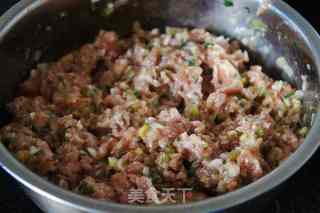 荠菜猪肉馅煎饺的做法步骤：4