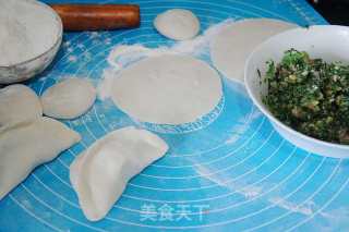 荠菜猪肉馅煎饺的做法步骤：6
