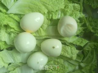 白菜肉片煲的做法步骤：2