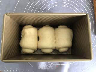 中种炼乳吐司的做法步骤：9