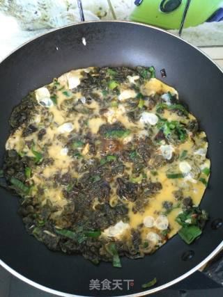 地皮菜粉丝炒鸡蛋的做法步骤：9