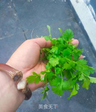 小满日食记《香之菜》的做法步骤：3