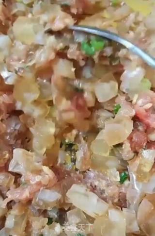 家庭版灌汤包的做法步骤：3
