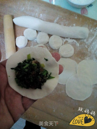 荠菜饺子的做法步骤：10