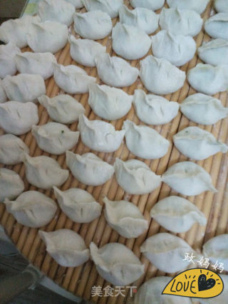 荠菜饺子的做法步骤：12