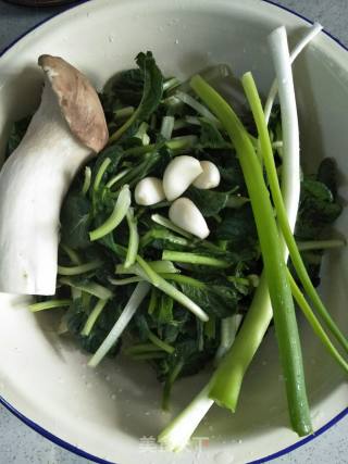杏鲍菇炒菊花菜的做法步骤：4