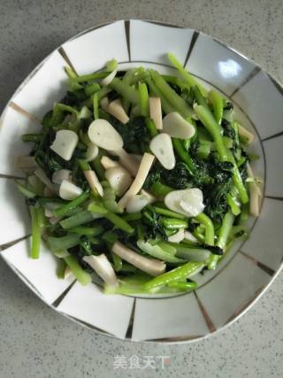 杏鲍菇炒菊花菜的做法步骤：10