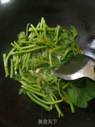 肉蓉金瓜苗的做法步骤：5
