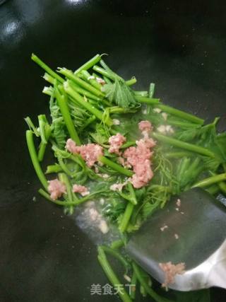 肉蓉金瓜苗的做法步骤：6