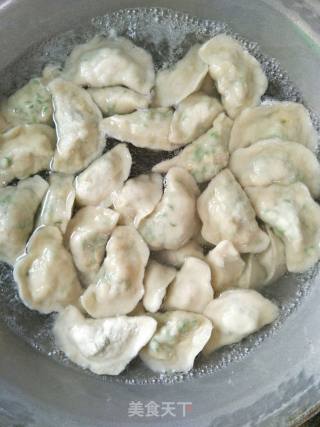豆角鸡蛋饺子的做法步骤：16