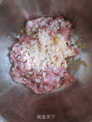 茄子猪肉包的做法步骤：4