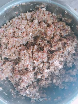 茄子猪肉包的做法步骤：8