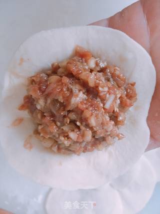 茄子猪肉包的做法步骤：11
