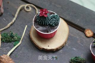 韩式豆沙裱花--多肉植物系列的做法步骤：23