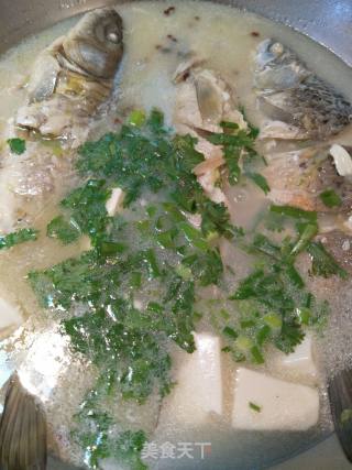 鲫鱼豆腐汤的做法步骤：9