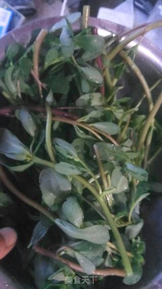 “凉拌菜”凉拌马扎菜的做法步骤：1