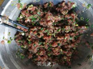 简易版牛肉水煎包的做法步骤：4